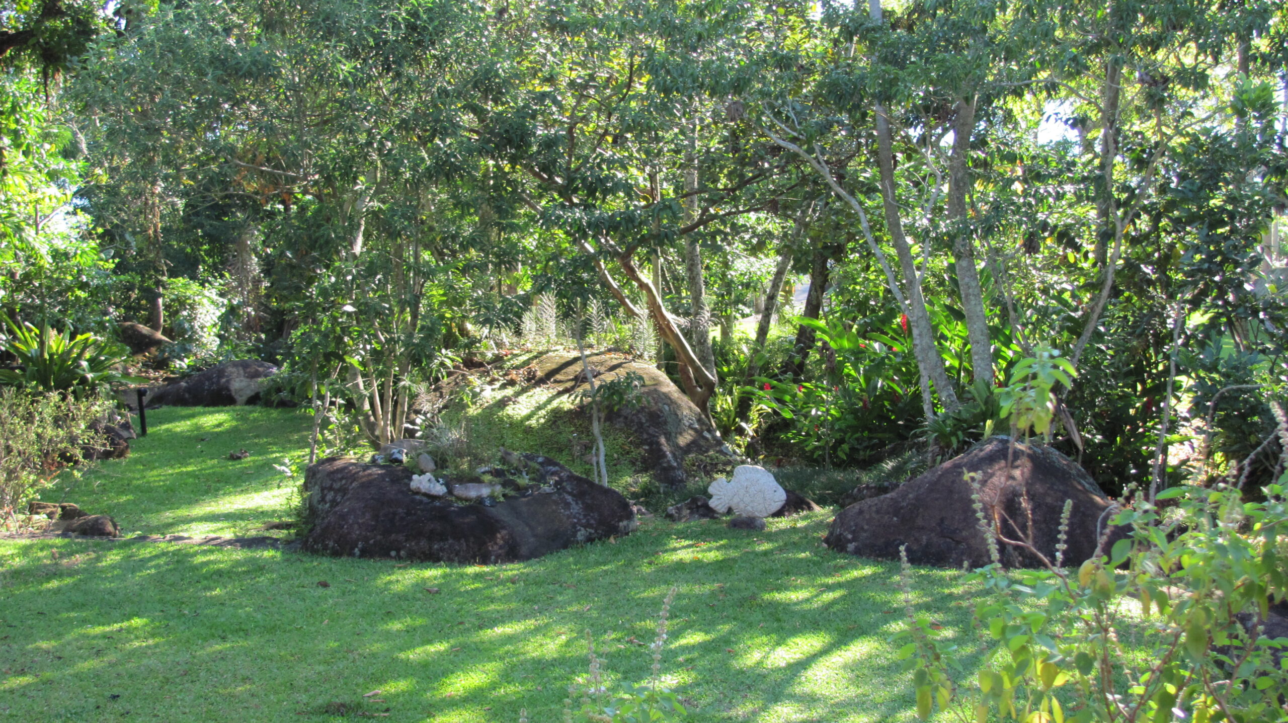 Jardim
