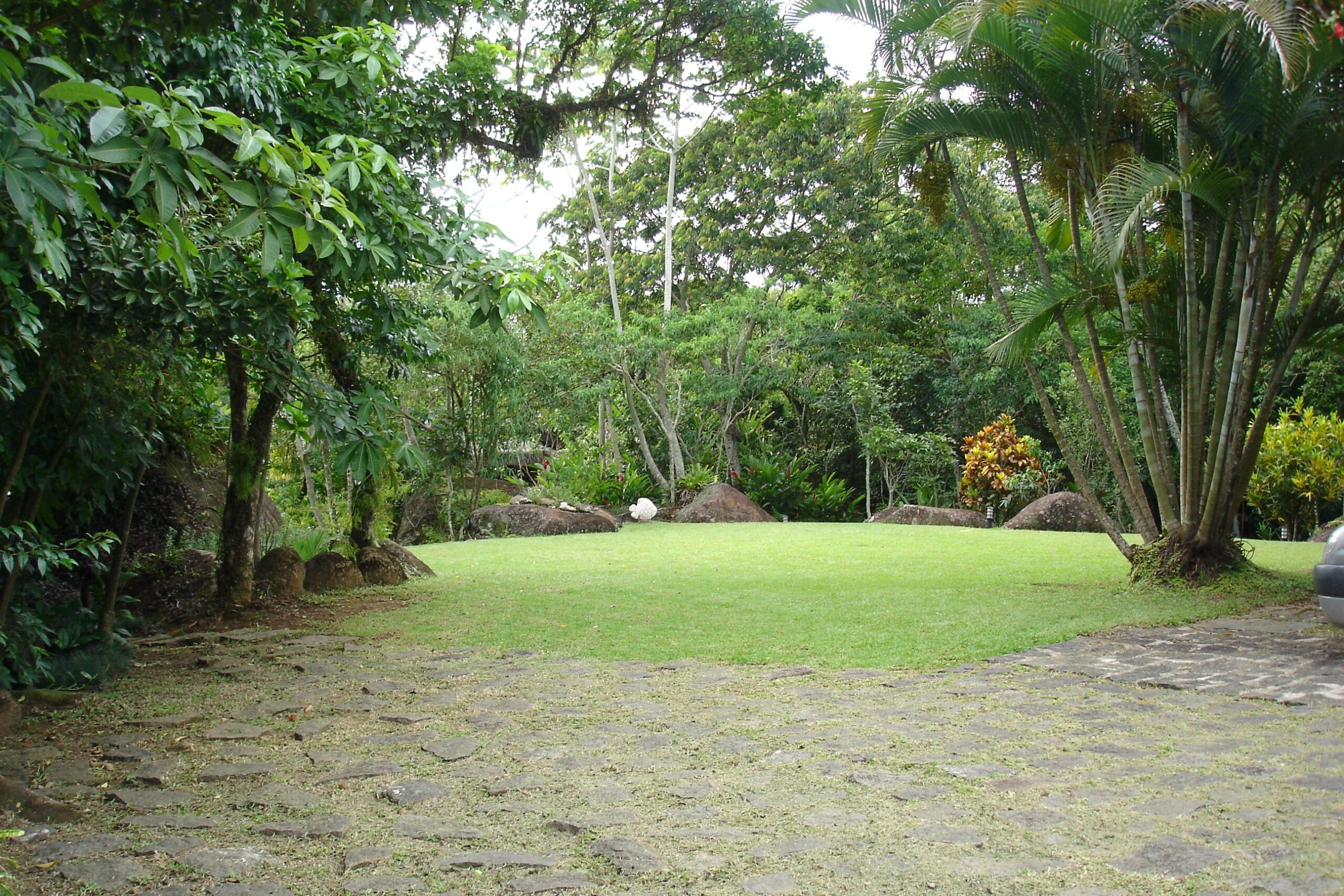 Terreno