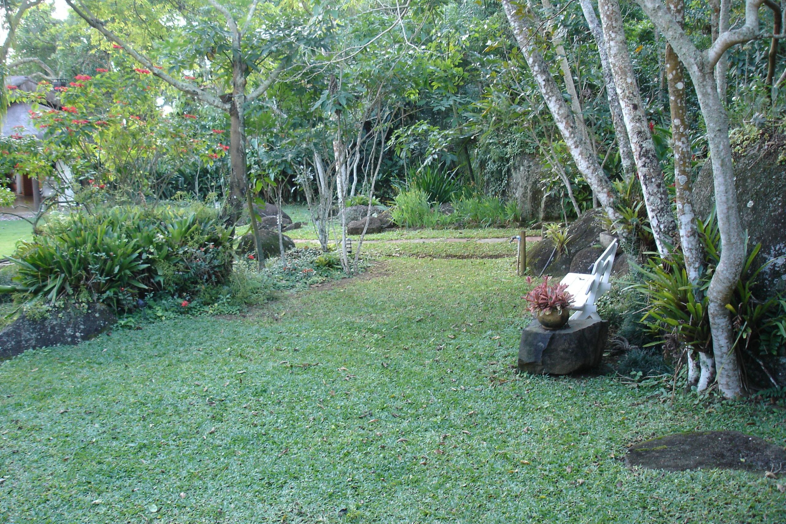 Vista do terreno