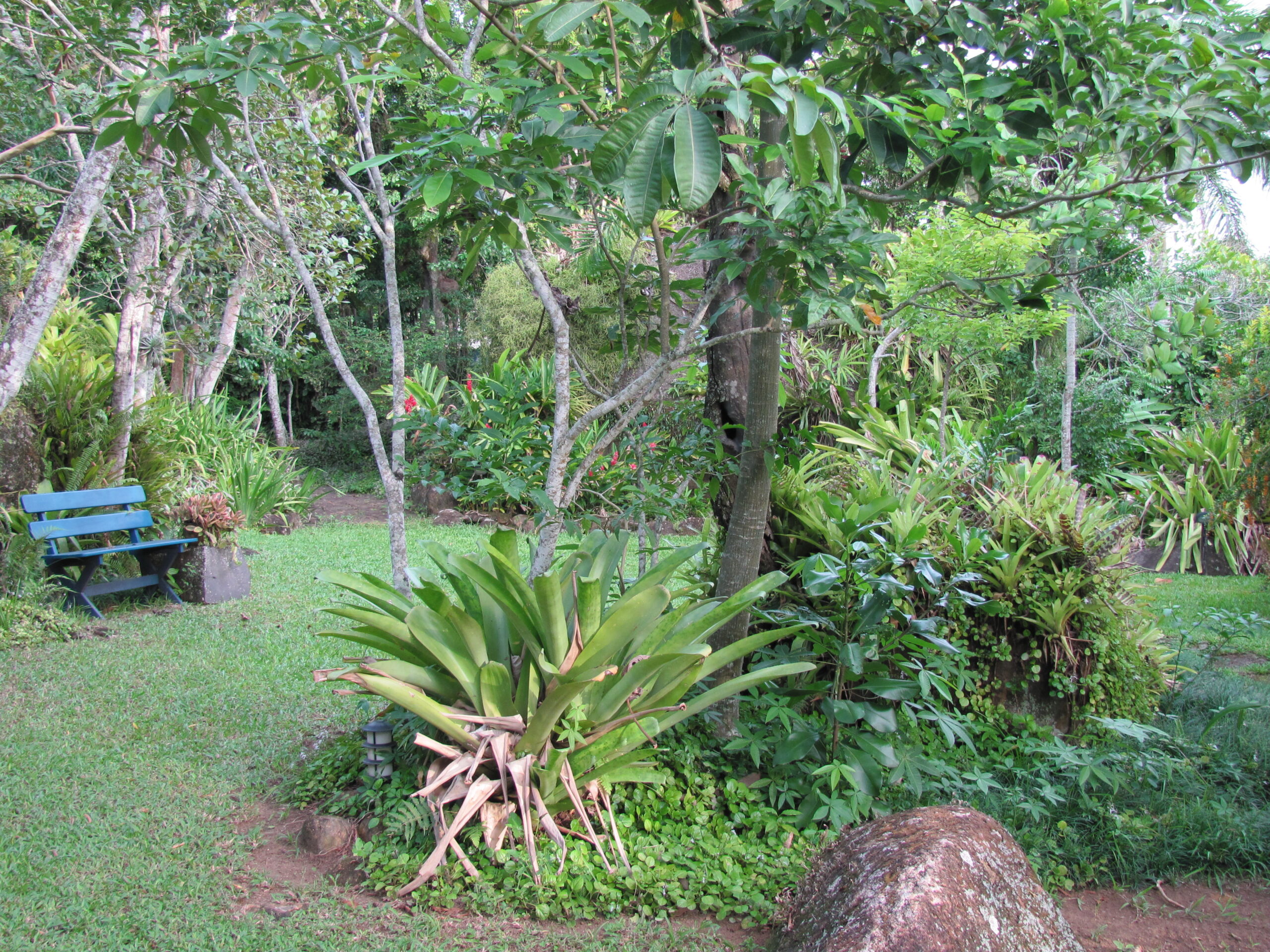 Jardim 1