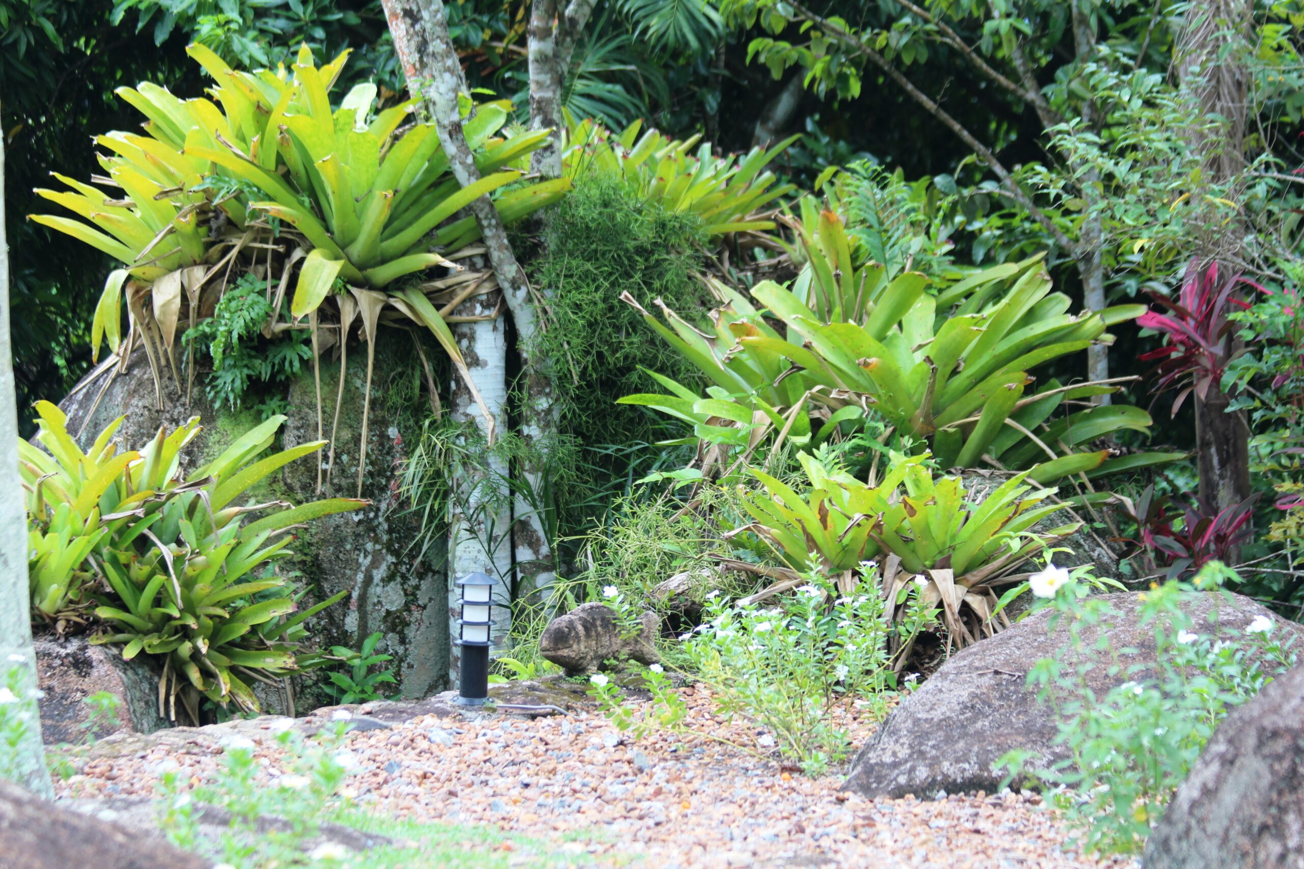 Jardins do sítio