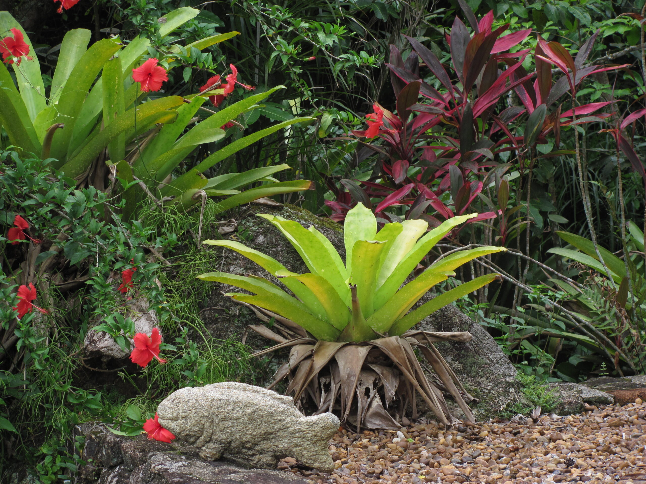 Jardim 3