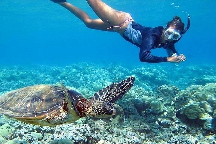 Mergulho